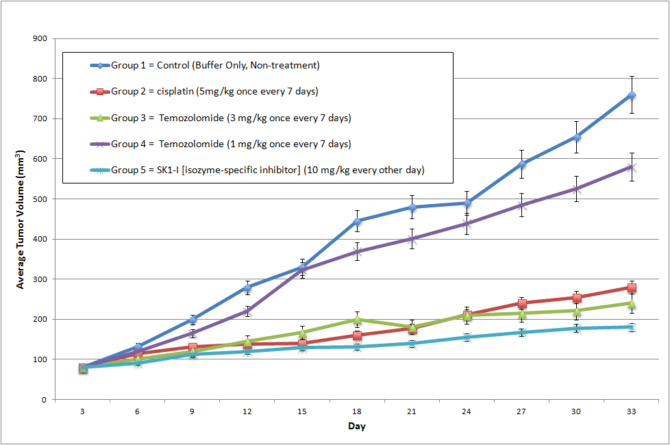 LN229 Xenograft Model