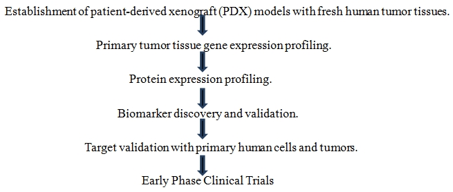 altogen_labs_pdtx_xenograft_services