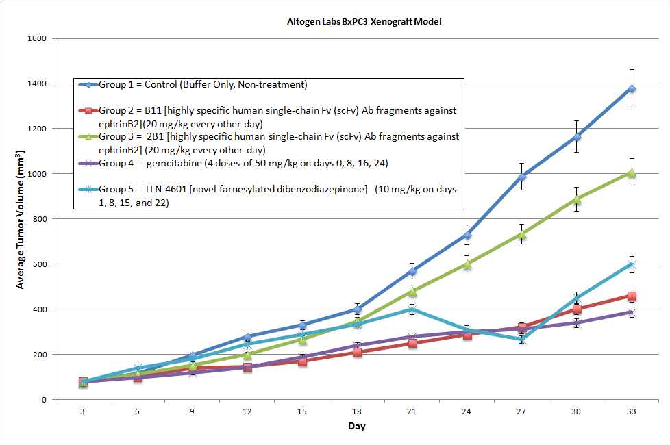 BXPC3 Xenograft Altogen Labs