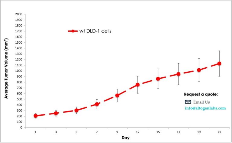 Dld Cell Line DLD-1 Xenograft Model | Xenograft Services: CDX, PDX, PDO, Syngeneic