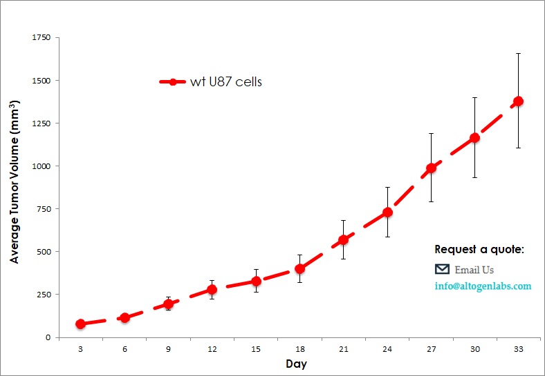 U87 xenograft model